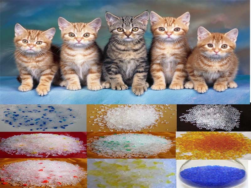 Hot!! Silica gel crystal cat sand