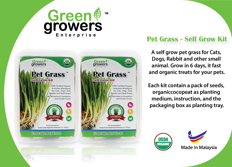 Pet Grass - Cat Grass -  Self Grow KIt