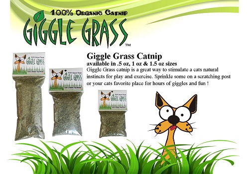 Giggle Grass Catnip
