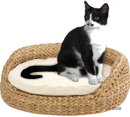Water hyacinth cat bed 
